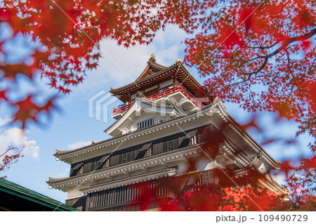 秋の清洲城〈愛知県清須市〉 109490729