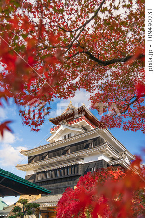 秋の清洲城〈愛知県清須市〉 秋の清洲城〈愛知県清須市〉 109490731