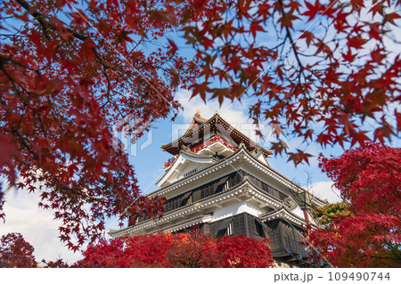 秋の清洲城〈愛知県清須市〉 109490744