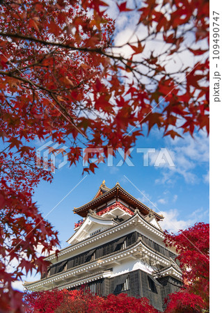 秋の清洲城〈愛知県清須市〉 109490747