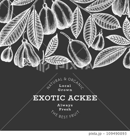 Hand drawn sketch style ackee banner. Organic fresh food vector illustration on chalk board. Retro exotic fruit design template. Engraved style botanical background. 109490893