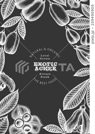 Hand drawn sketch style ackee banner. Organic fresh food vector illustration on chalk board. Retro exotic fruit design template. Engraved style botanical background. 109490909
