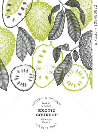 Hand drawn sketch style soursop fruit banner. Organic fresh fruit vector illustration. Retro guanabana design template Hand drawn sketch style soursop fruit banner. Organic fresh fruit vector illustration. Retro guanabana design template 109490922