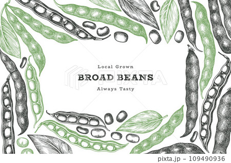 Hand drawn broad beans design template. Organic fresh food vector illustration. Retro pods illustration. Engraved botanical style cereal background. 109490936