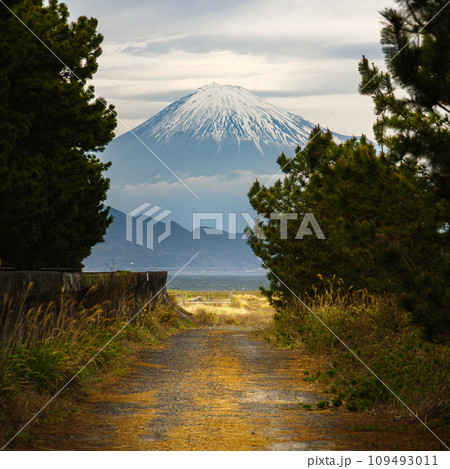Unexpected View at End of Access Road in Shizuoka, Japan 109493011