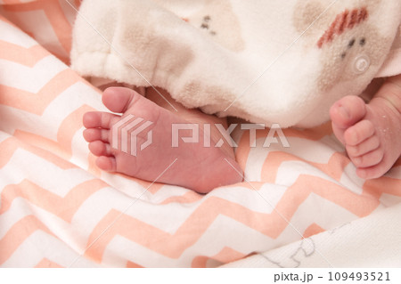 【新生児の赤ちゃん 足の裏】 【新生児の赤ちゃん 足の裏】 109493521