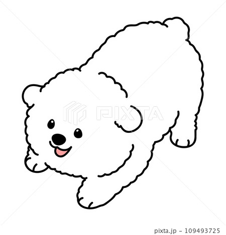 遊びに誘うシンプルで可愛いビション・フリーゼのイラスト　主線あり 109493725