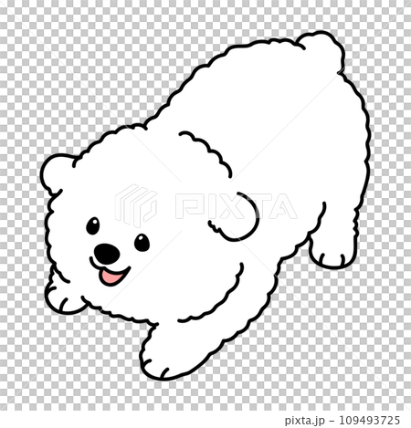遊びに誘うシンプルで可愛いビション・フリーゼのイラスト　主線あり 109493725