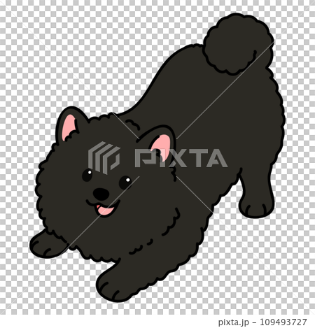 邀請您玩耍的簡單可愛的黑色博美犬的插圖，帶有主線 109493727