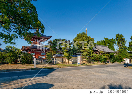 熊本 蓮華院誕生寺 本院の風景 109494694