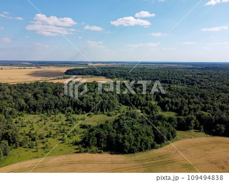 Green deciduous forest next to a farm field. Landscape from a bird's eye view. Sunny weather. 109494838