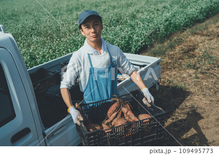 vegetable field vegetable field 109495773
