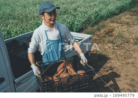 vegetable field 109495779