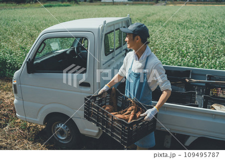 vegetable field vegetable field 109495787