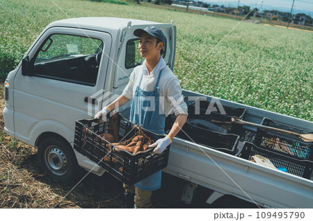 vegetable field vegetable field 109495790