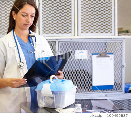 Woman, veterinarian and surgeon with xray at animal shelter for examination, tests or diagnosis on injury at vet. Female person, nurse or medical pet professional looking at CT scan or MRI at clinic 109496687