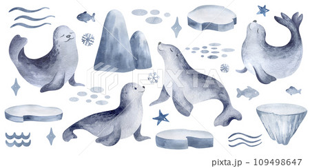 Fur seal is an animals of the Arctic. Watercolor set of beast and ice floes on an isolated background. Hand-drawn sea calf and iceberg elements for kids stickers and prints. Fur seal is an animals of the Arctic. Watercolor set of beast and ice floes on an isolated background. Hand-drawn sea calf and iceberg elements for kids stickers and prints. 109498647