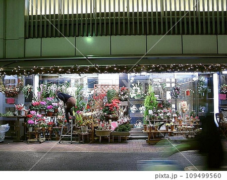 咲き誇ったスズキフロリスト(スズフロ)「風景の記憶 (2002.11)」 銀座ソニービル1Fの花屋 咲き誇ったスズキフロリスト(スズフロ)「風景の記憶 (2002.11)」 銀座ソニービル1Fの花屋 109499560