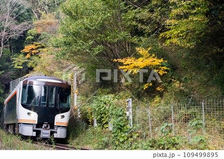【高山本線】トンネルを抜け旅路を急ぐ特急ひだ 109499895