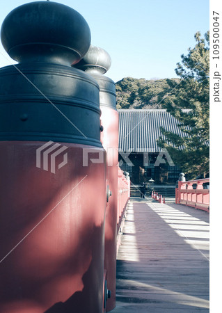 初詣 赤い橋 初詣 赤い橋 109500047