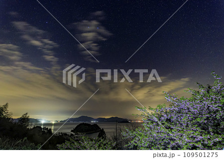 瀬戸内の小島に咲く河津桜と星空 瀬戸内の小島に咲く河津桜と星空 109501275