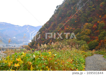 山の紅葉　魚野川と大源太川合流地点からの眺め　秋の風景　 109501644