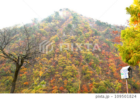 山の紅葉　湯沢中央公園付近からの眺め　秋の風景　 109501824