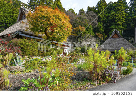 日本の原風景（秋の美山かやぶきの里） 109502155
