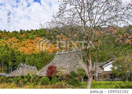 日本の原風景(秋の美山かやぶきの里) 日本の原風景(秋の美山かやぶきの里) 109502182