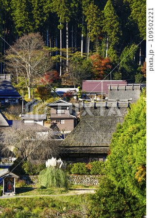 日本の原風景（秋の美山かやぶきの里） 109502221