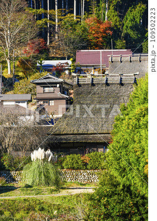 日本の原風景（秋の美山かやぶきの里） 109502223
