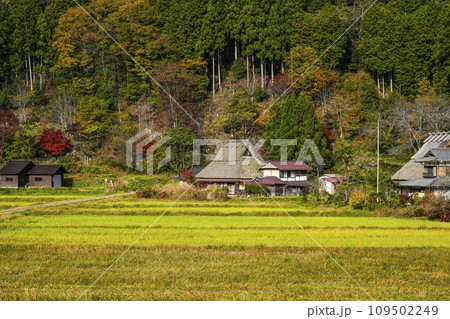 日本の原風景（秋の美山かやぶきの里） 109502249