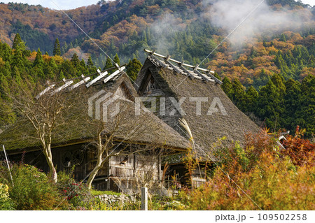 日本の原風景（秋の美山かやぶきの里） 109502258