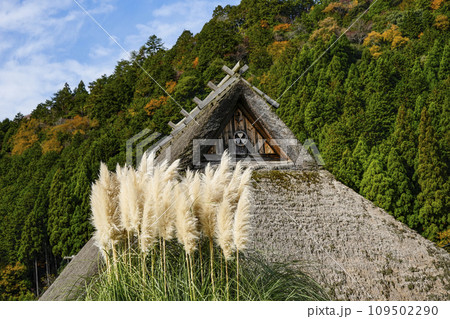 日本の原風景（秋の美山かやぶきの里） 109502290