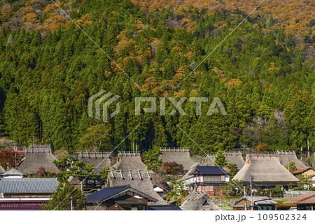 日本の原風景（秋の美山かやぶきの里） 109502324