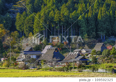 日本の原風景（秋の美山かやぶきの里） 109502325