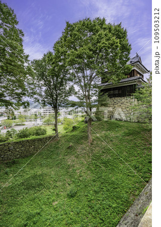 上田城 東虎口櫓門脇の斜面 長野県上田市 上田城 東虎口櫓門脇の斜面 長野県上田市 109503212