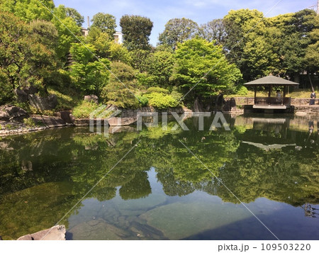 春の目白庭園の池の水面に映る四阿や新緑の木木 春の目白庭園の池の水面に映る四阿や新緑の木木 109503220