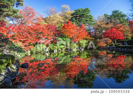 もみじ公園 もみじ公園 109503338