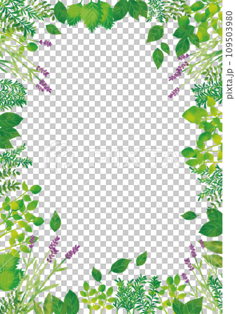 水彩風格藥草框架垂直 水彩風格藥草框架垂直 109503980