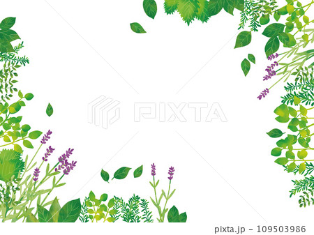 水彩風 ハーブフレーム コーナー 水彩風 ハーブフレーム コーナー 109503986