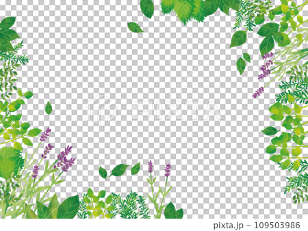 水彩風 ハーブフレーム コーナー 水彩風 ハーブフレーム コーナー 109503986