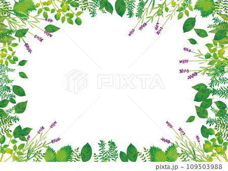 水彩風 ハーブフレーム 水彩風 ハーブフレーム 109503988