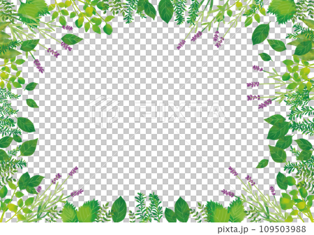 水彩風 ハーブフレーム 水彩風 ハーブフレーム 109503988