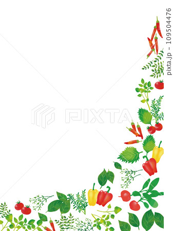 水彩風　野菜とハーブフレーム 109504476