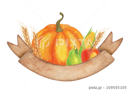 Orange pumpkin, corn, wheat, apple pear, brown ribbon for text. Autumn harvest festival. Thanksgiving, Kwanzaa card decoration. Hand drawn watercolor illustration isolated background. 109505105