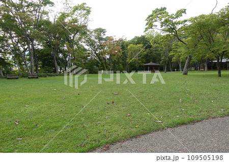 支笏湖ビジターセンター中央広場の芝生 109505198