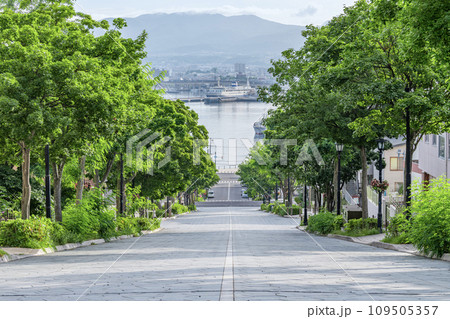 北海道函館市 人気の観光スポット 海へ続く坂道「八幡坂」 北海道函館市 人気の観光スポット 海へ続く坂道「八幡坂」 109505357
