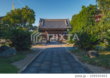 熊本 蓮華院誕生寺 中門(延命門) 熊本 蓮華院誕生寺 中門(延命門) 109505403