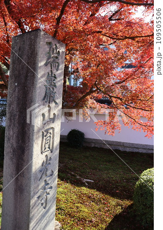 圓光寺　京都市左京区　一乗寺駅　叡山電鉄　京阪電鉄　紅葉　紅葉狩り　観光　御朱印　インバウンド 109505506